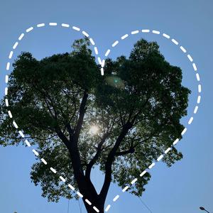 沙奈朵开腿做❌同人漫画
