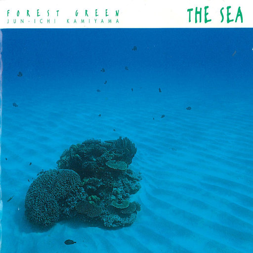 沙奈朵开腿做❌同人漫画
